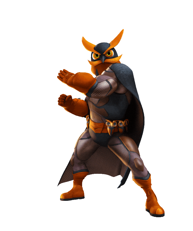 ninja